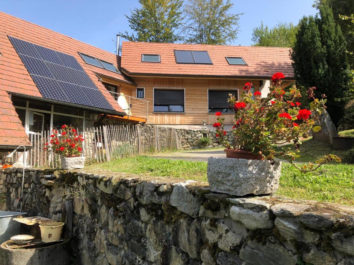 La Maison De Jean Les Adrets Eksteriør bilde